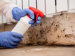 Best Mold Prevention Services  in Mountain Lake Park, MD